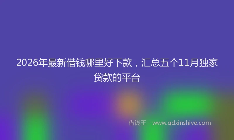 2026年最新借钱哪里好下款,汇总五个11月独家贷款的平台