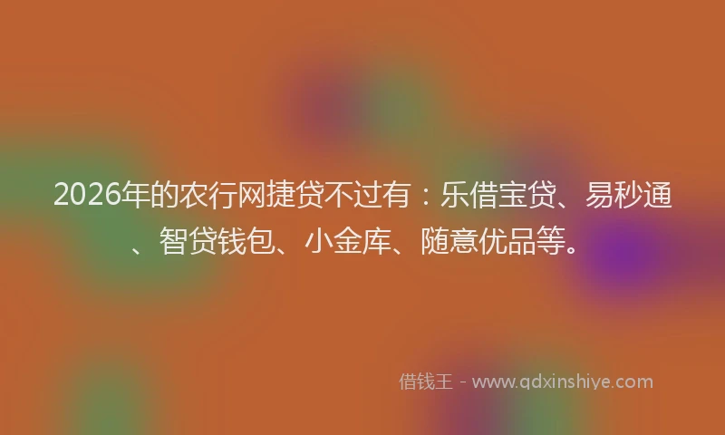 2026年的农行网捷贷不过有：乐借宝贷、易秒通、智贷钱包、小金库、随意优品等。