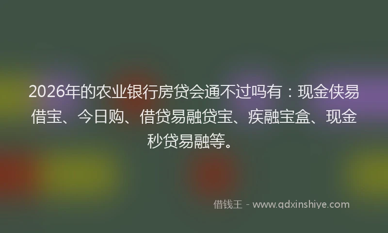 2026年的农业银行房贷会通不过吗有：现金侠易借宝、今日购、借贷易融贷宝、疾融宝盒、现金秒贷易融等。