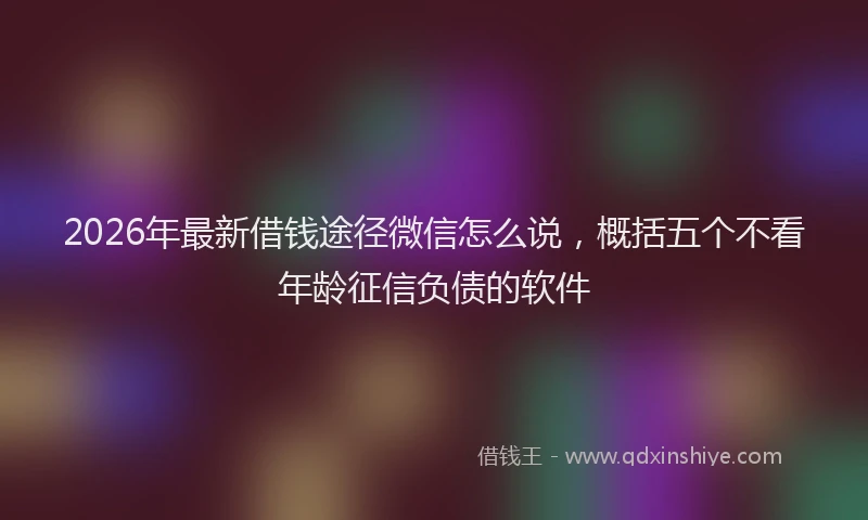 2026年最新借钱途径微信怎么说，概括五个不看年龄征信负债的软件