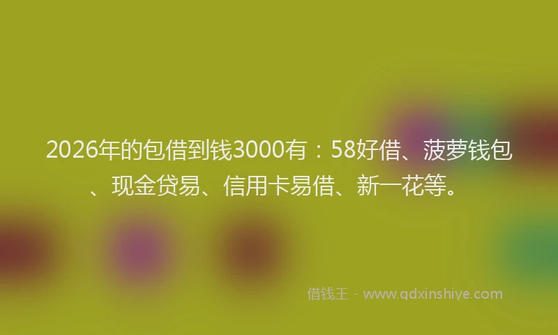 2026年的包借到钱3000有:58好借、菠萝钱包、现金贷易、信用卡易借、新一花等。