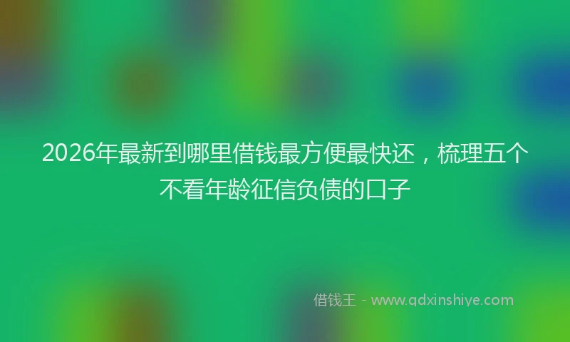 2026年最新到哪里借钱最方便最快还,梳理五个不看年龄征信负债的口子