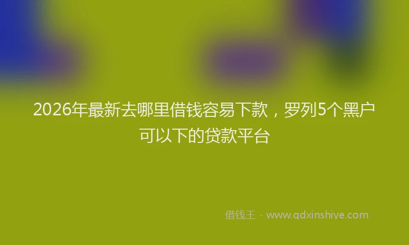 2026年最新去哪里借钱容易下款，罗列5个黑户可以下的贷款平台