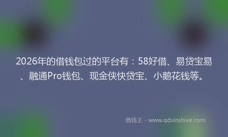 2026年的借钱包过的平台有：58好借、易贷宝易、融通Pro钱包、现金侠快贷宝、小鹅花钱等。