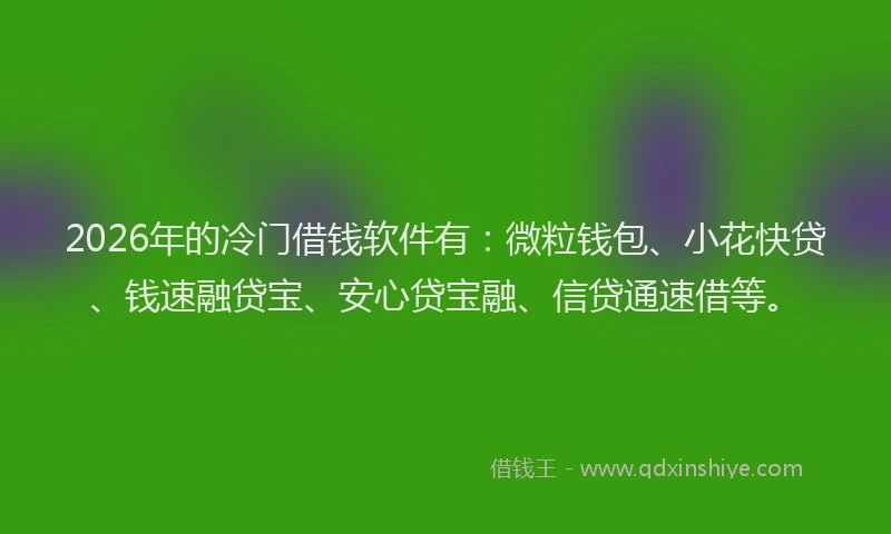 2026年的冷门借钱软件有：微粒钱包、小花快贷、钱速融贷宝、安心贷宝融、信贷通速借等。