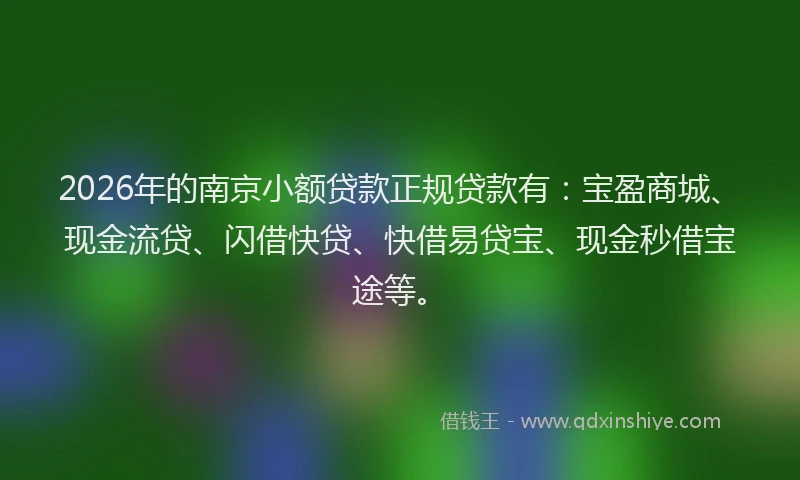 2026年的南京小额贷款正规贷款有：宝盈商城、现金流贷、闪借快贷、快借易贷宝、现金秒借宝途等。