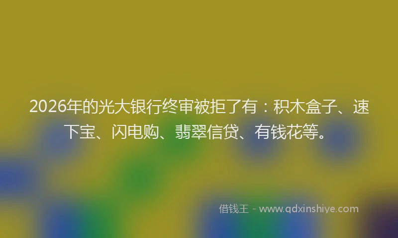 2026年的光大银行终审被拒了有：积木盒子、速下宝、闪电购、翡翠信贷、有钱花等。