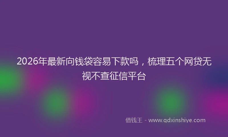 2026年最新向钱袋容易下款吗，梳理五个网贷无视不查征信平台