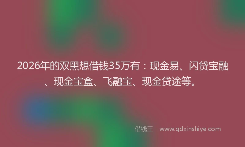 2026年的双黑想借钱35万有：现金易、闪贷宝融、现金宝盒、飞融宝、现金贷途等。