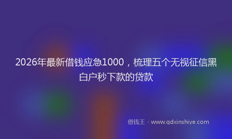 2026年最新借钱应急1000，梳理五个无视征信黑白户秒下款的贷款