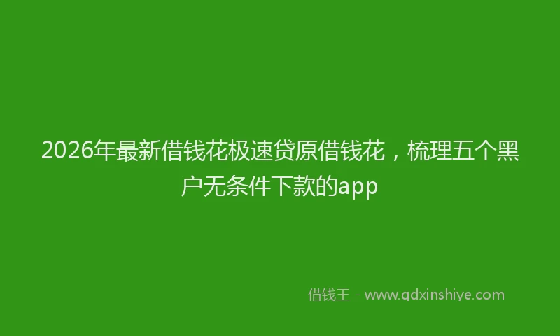 2026年最新借钱花极速贷原借钱花，梳理五个黑户无条件下款的app