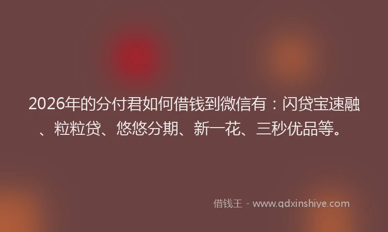 2026年的分付君如何借钱到微信有:闪贷宝速融、粒粒贷、悠悠分期、新一花、三秒优品等。