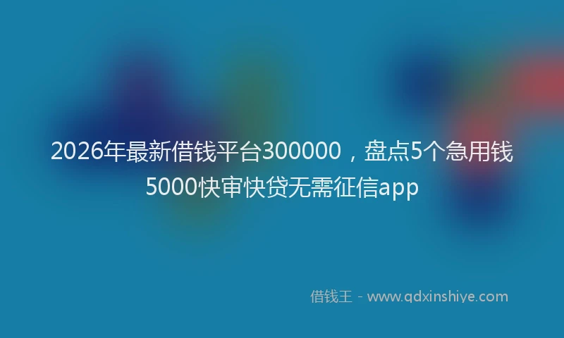 2026年最新借钱平台300000,盘点5个急用钱5000快审快贷无需征信app