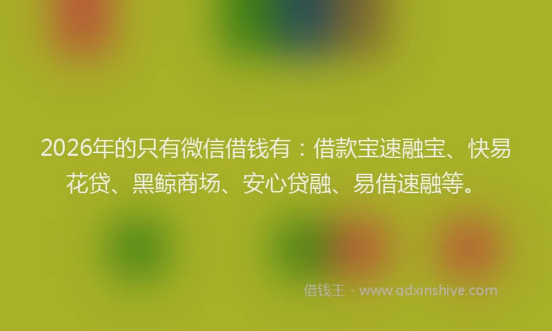 2026年的只有微信借钱有:借款宝速融宝、快易花贷、黑鲸商场、安心贷融、易借速融等。