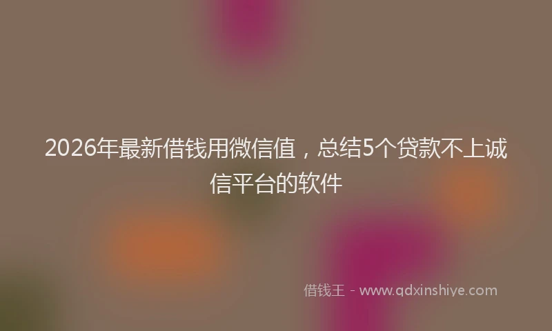 2026年最新借钱用微信值，总结5个贷款不上诚信平台的软件