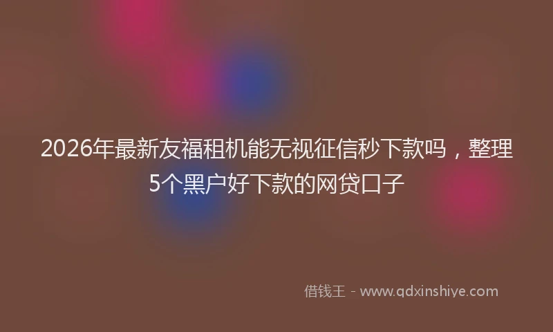 2026年最新友福租机能无视征信秒下款吗，整理5个黑户好下款的网贷口子