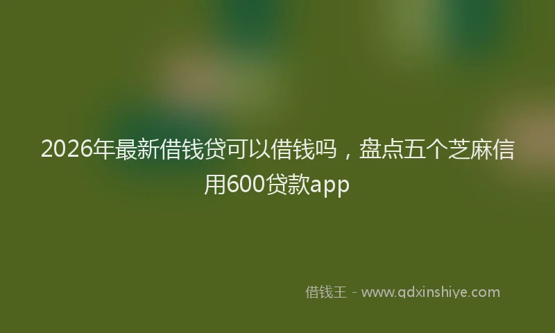 2026年最新借钱贷可以借钱吗，盘点五个芝麻信用600贷款app
