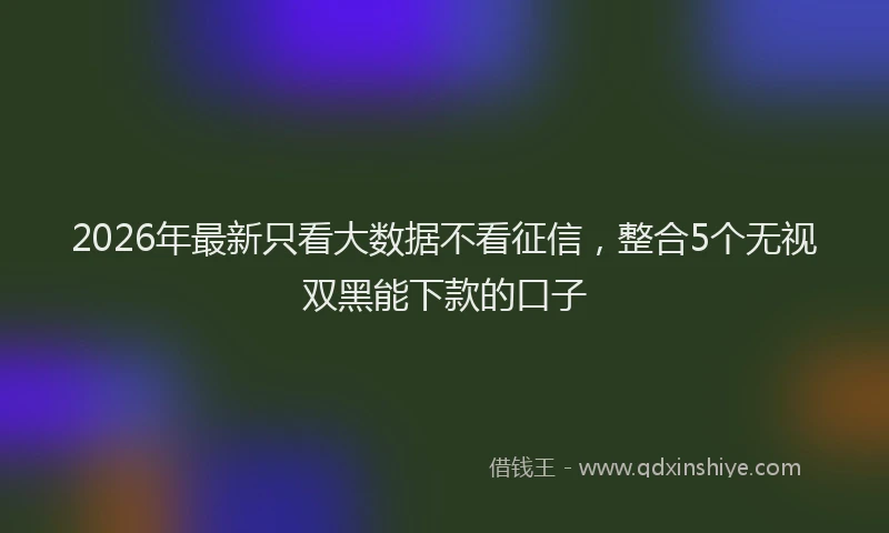 2026年最新只看大数据不看征信,整合5个无视双黑能下款的口子