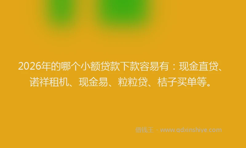 2026年的哪个小额贷款下款容易有:现金直贷、诺祥租机、现金易、粒粒贷、桔子买单等。