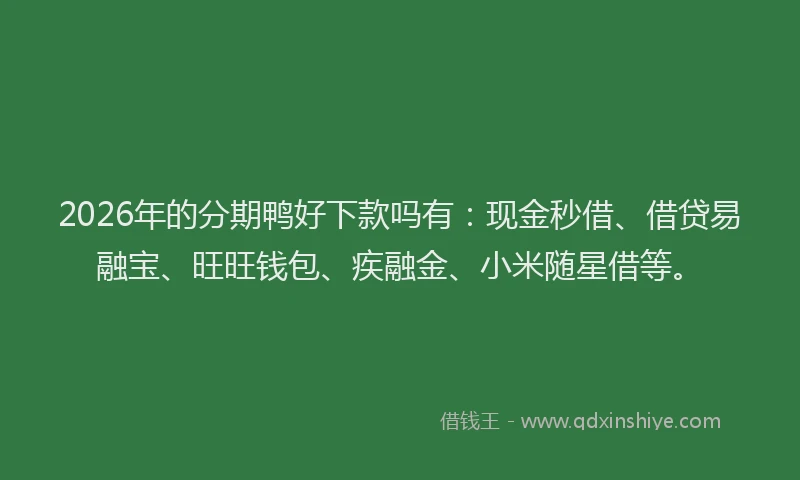 2026年的分期鸭好下款吗有：现金秒借、借贷易融宝、旺旺钱包、疾融金、小米随星借等。