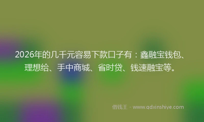 2026年的几千元容易下款口子有：鑫融宝钱包、理想给、手中商城、省时贷、钱速融宝等。