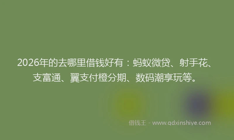 2026年的去哪里借钱好有：蚂蚁微贷、射手花、支富通、翼支付橙分期、数码潮享玩等。