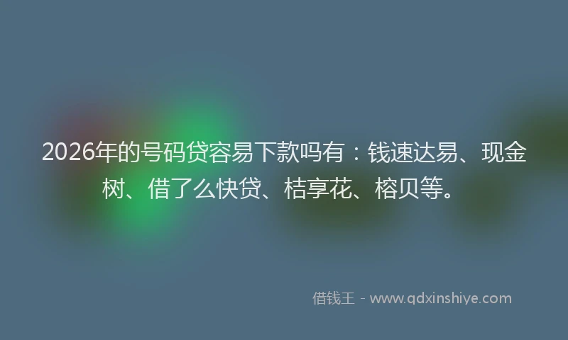 2026年的号码贷容易下款吗有:钱速达易、现金树、借了么快贷、桔享花、榕贝等。