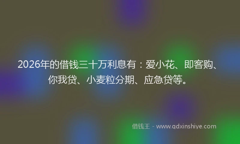 2026年的借钱三十万利息有：爱小花、即客购、你我贷、小麦粒分期、应急贷等。