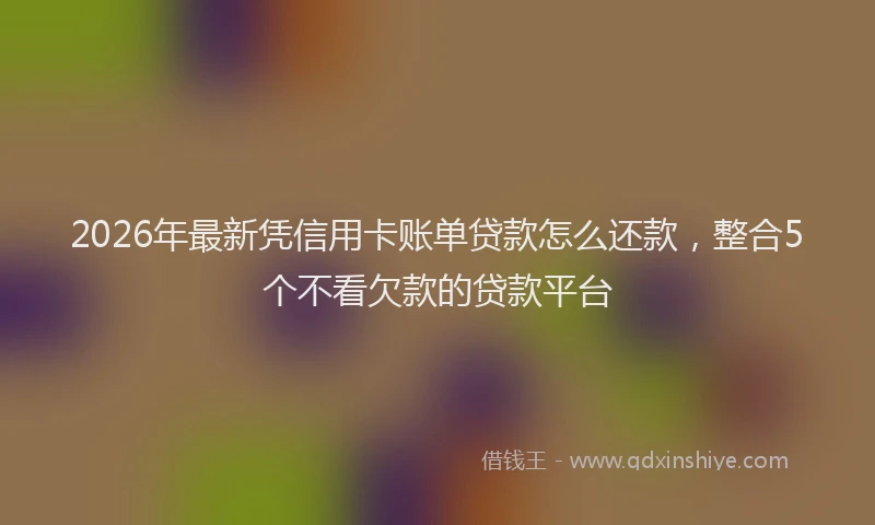 2026年最新凭信用卡账单贷款怎么还款,整合5个不看欠款的贷款平台