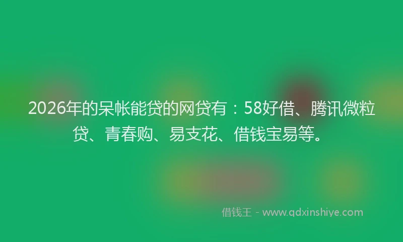2026年的呆帐能贷的网贷有：58好借、腾讯微粒贷、青春购、易支花、借钱宝易等。