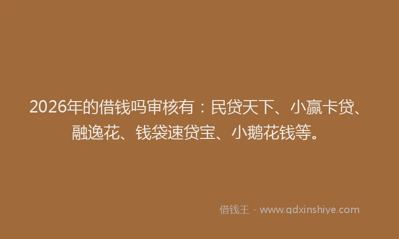 2026年的借钱吗审核有:民贷天下、小赢卡贷、融逸花、钱袋速贷宝、小鹅花钱等。