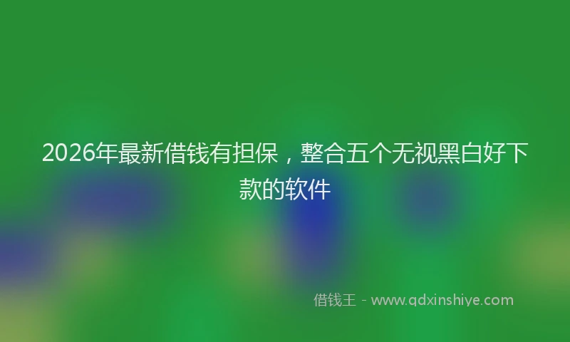 2026年最新借钱有担保，整合五个无视黑白好下款的软件