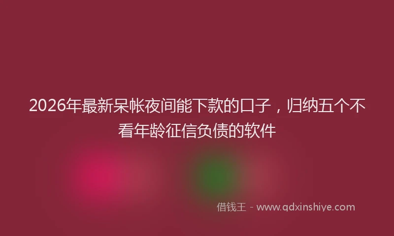 2026年最新呆帐夜间能下款的口子,归纳五个不看年龄征信负债的软件