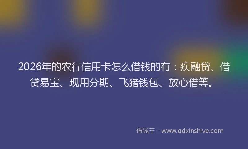 2026年的农行信用卡怎么借钱的有：疾融贷、借贷易宝、现用分期、飞猪钱包、放心借等。