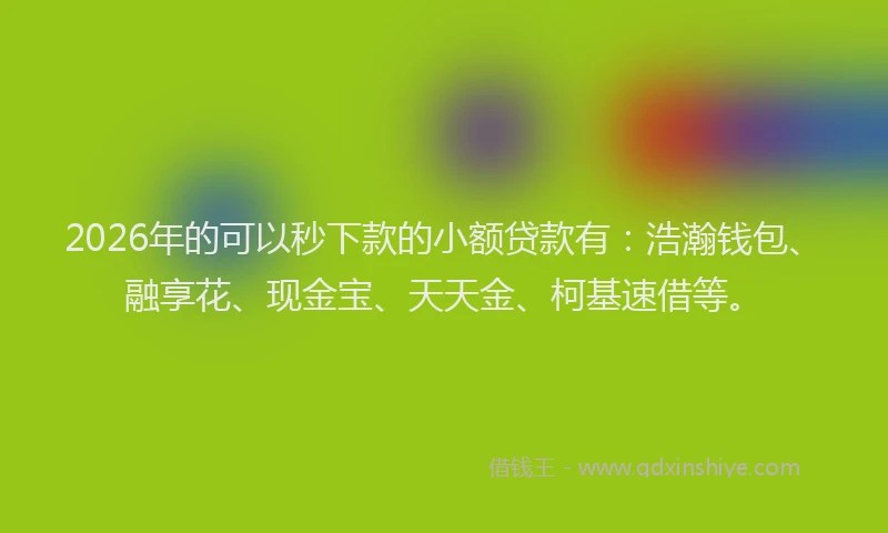 2026年的可以秒下款的小额贷款有：浩瀚钱包、融享花、现金宝、天天金、柯基速借等。