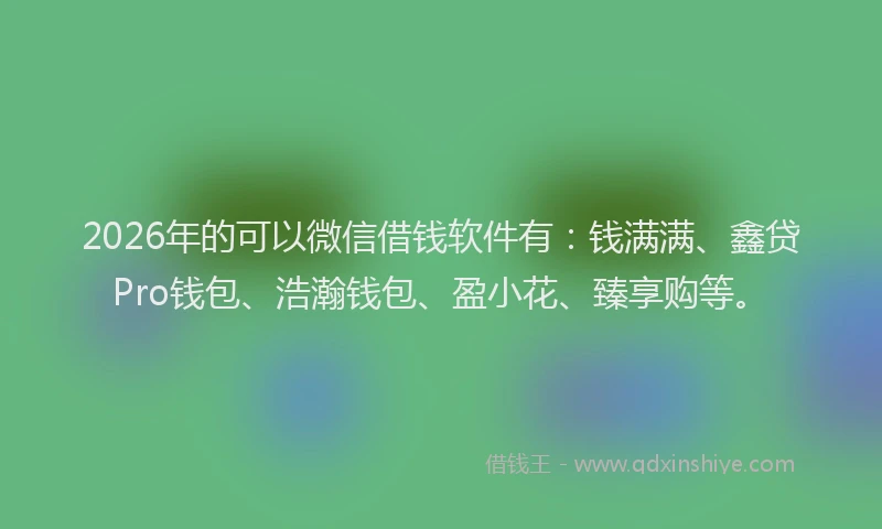 2026年的可以微信借钱软件有：钱满满、鑫贷Pro钱包、浩瀚钱包、盈小花、臻享购等。