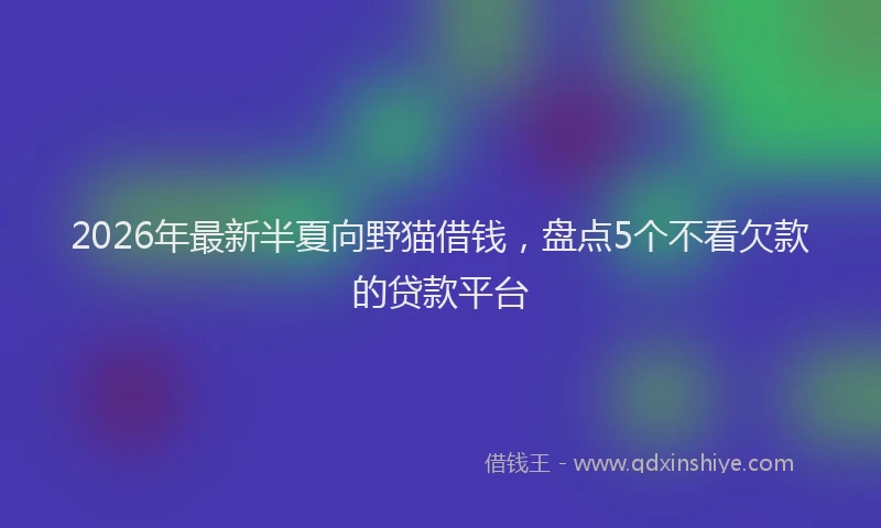 2026年最新半夏向野猫借钱，盘点5个不看欠款的贷款平台
