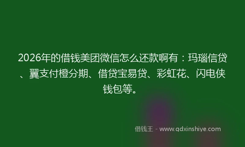 2026年的借钱美团微信怎么还款啊有：玛瑙信贷、翼支付橙分期、借贷宝易贷、彩虹花、闪电侠钱包等。