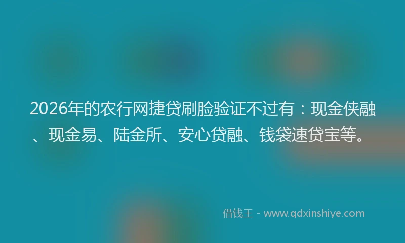 2026年的农行网捷贷刷脸验证不过有：现金侠融、现金易、陆金所、安心贷融、钱袋速贷宝等。