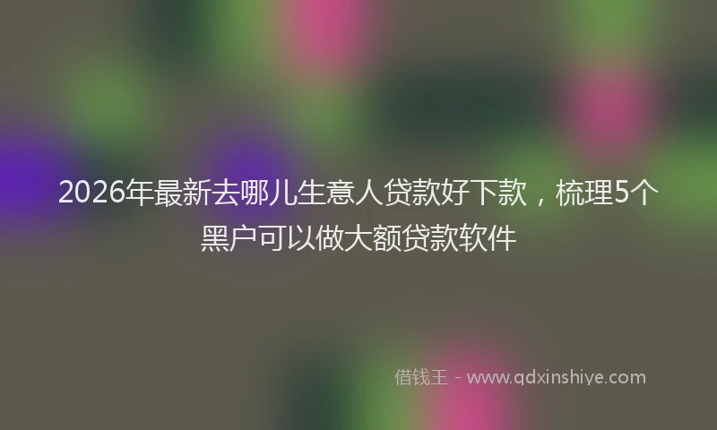 2026年最新去哪儿生意人贷款好下款，梳理5个黑户可以做大额贷款软件