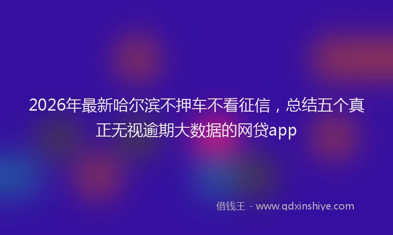 2026年最新哈尔滨不押车不看征信,总结五个真正无视逾期大数据的网贷app
