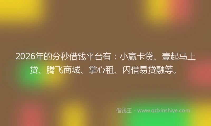 2026年的分秒借钱平台有：小赢卡贷、壹起马上贷、腾飞商城、掌心租、闪借易贷融等。
