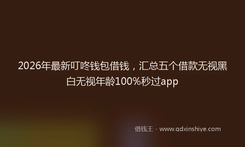 2026年最新叮咚钱包借钱，汇总五个借款无视黑白无视年龄100%秒过app