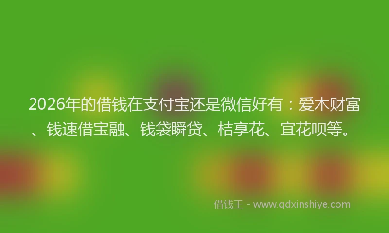 2026年的借钱在支付宝还是微信好有：爱木财富、钱速借宝融、钱袋瞬贷、桔享花、宜花呗等。
