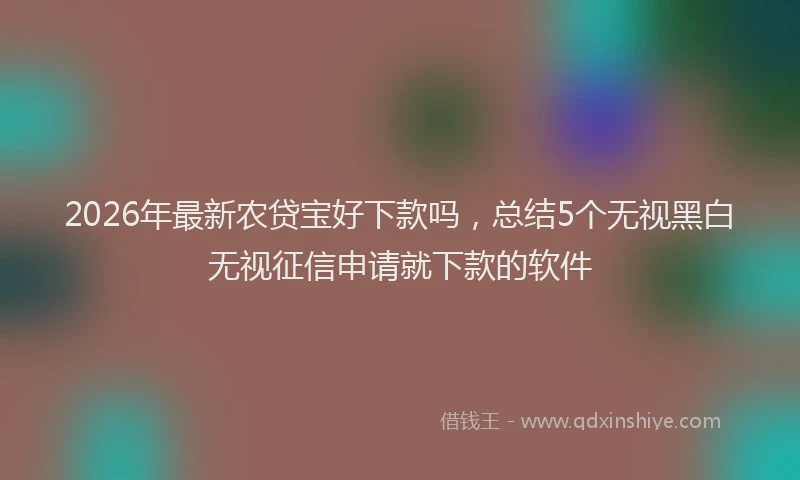 2026年最新农贷宝好下款吗,总结5个无视黑白无视征信申请就下款的软件