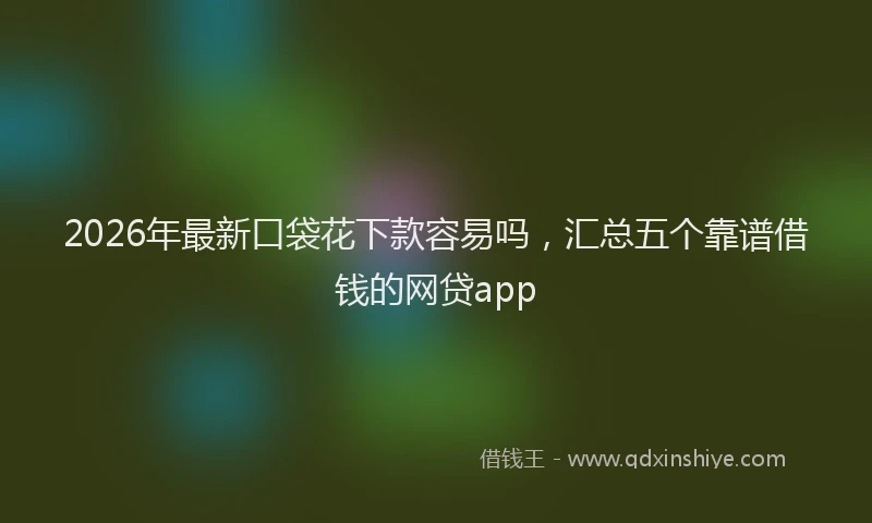 2026年最新口袋花下款容易吗,汇总五个靠谱借钱的网贷app
