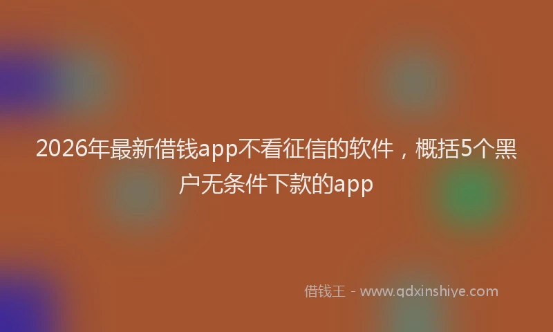 2026年最新借钱app不看征信的软件,概括5个黑户无条件下款的app