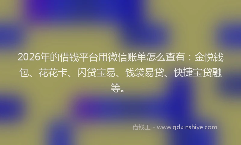 2026年的借钱平台用微信账单怎么查有：金悦钱包、花花卡、闪贷宝易、钱袋易贷、快捷宝贷融等。