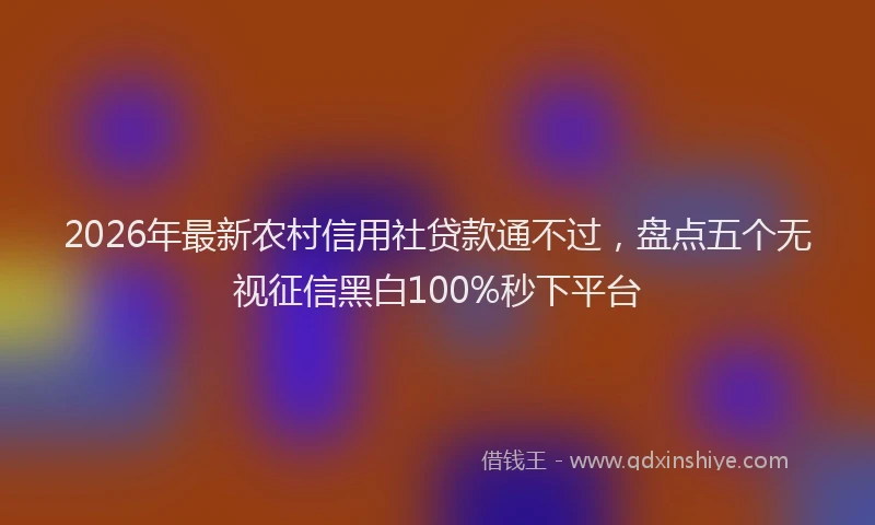 2026年最新农村信用社贷款通不过,盘点五个无视征信黑白100%秒下平台