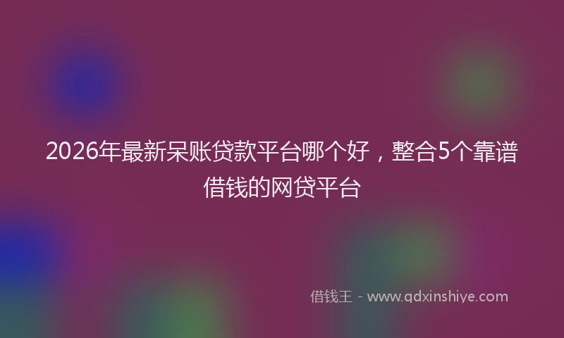 2026年最新呆账贷款平台哪个好，整合5个靠谱借钱的网贷平台